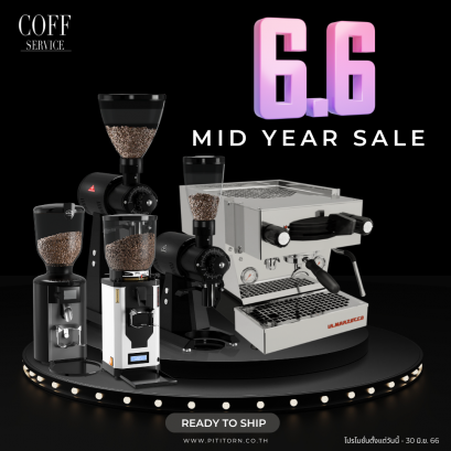 6.6 Mid Year Sale