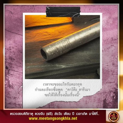 ฮาซิมัส คู่ชีวิต