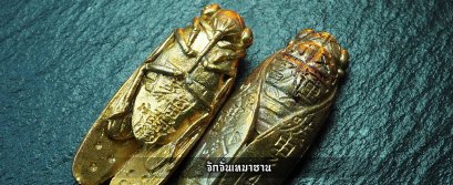 จักจั่นเหมาซาน