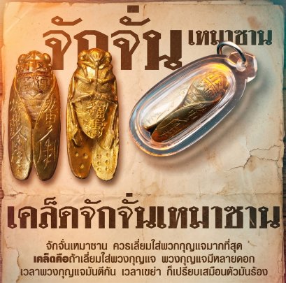 จักจั่นเหมาซาน