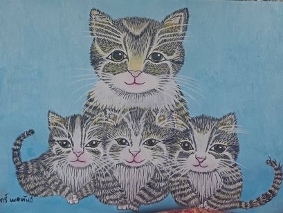 ครอบครัวแมว