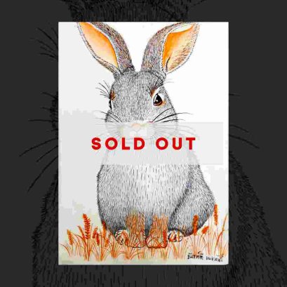 เจ้ากระต่ายตัวน้อย