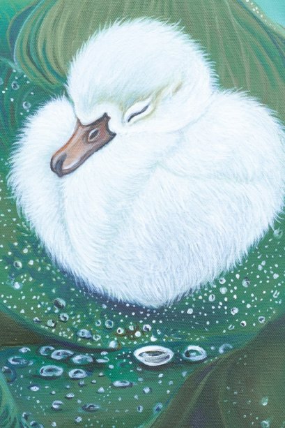 คืนที่เหน็บหนาว