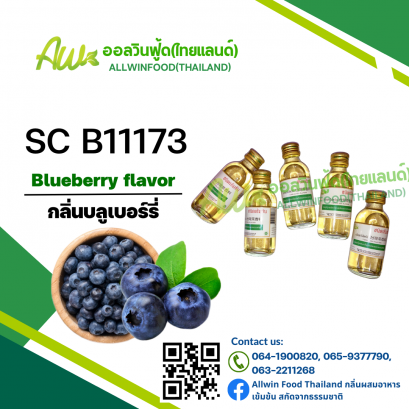Blueberry flavor(SC B11173)