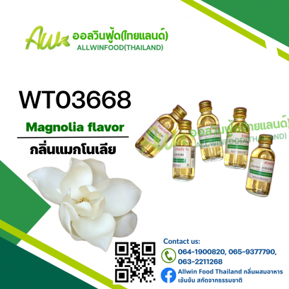 MAGNOLIA FLAVOUR(WT03668)