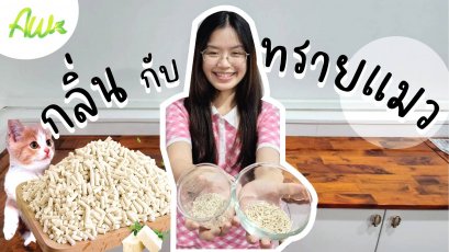 กลิ่นกับทรายแมว