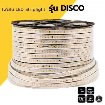 ไฟเส้น LED Striplight รุ่น DISCO&quot;Single /RGB&quot; 2835