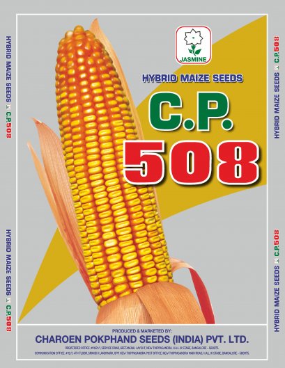 Hybrid Maize C.P. 508