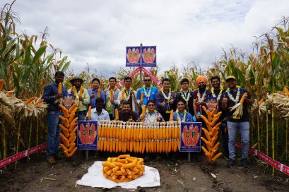 C.P.804 Field Day in Hassan District, Karnataka