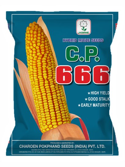 Hybrid Maize C.P. 666
