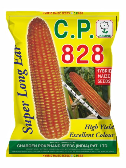 Hybrid Maize C.P. 828