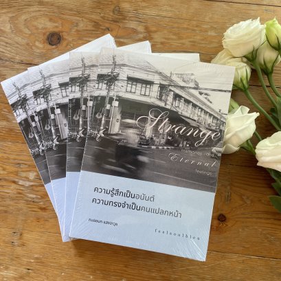 หนังสือ ความรู้สึกเป็นอนันต์ ความทรงจำเป็นคนแปลกหน้า