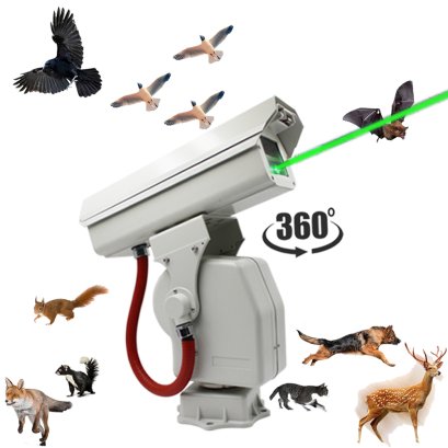 Laser Bird Repeller Light