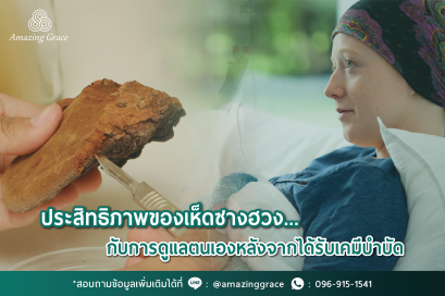 ประสิทธิภาพของเห็ดซางฮวงกับการดูแลตนเอง หลังจากได้รับเคมีบำบัด