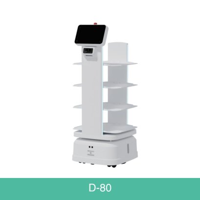 Autonomous Mobile Robot(AMR) | D Series