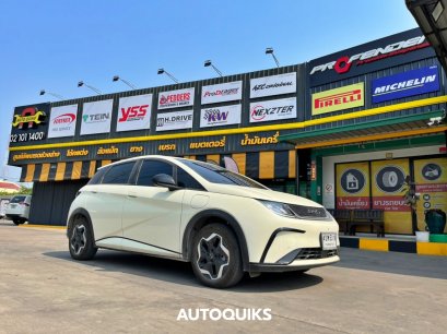 BYD Dolphin STD - Drift