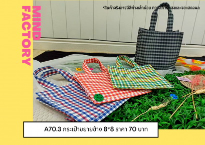 กระเป๋าขยายข้าง 8*8