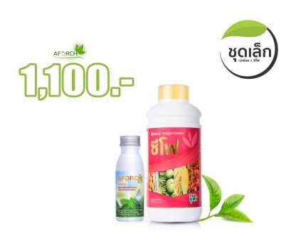 ชุดเล็กสูตรสอง เร่งผลผลิต