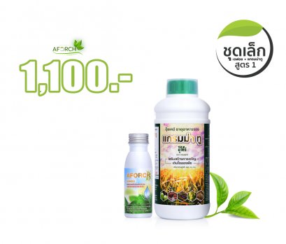 ชุดเล็กสูตรหนึ่ง เร่งการเจริญเติบโต