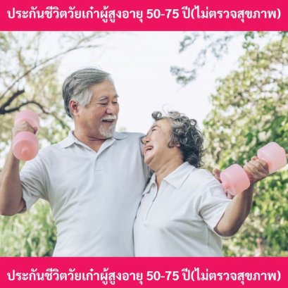 เมืองไทยวัยเก๋า