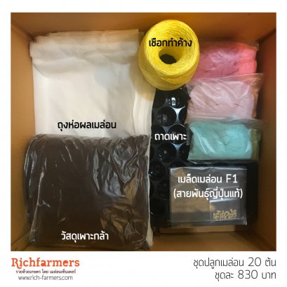 ชุดปลูกเมล่อนทานเอง