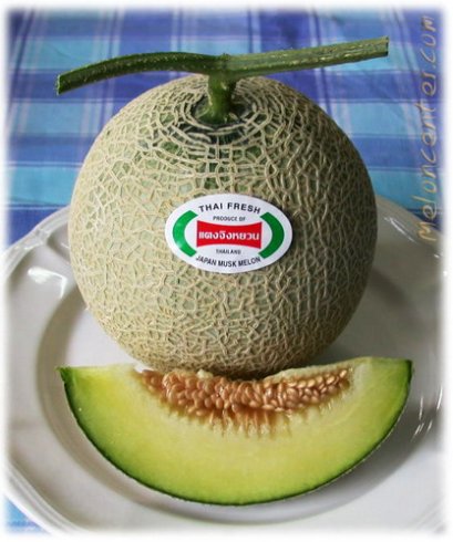 เมล็ดจิงหยวน (100s)