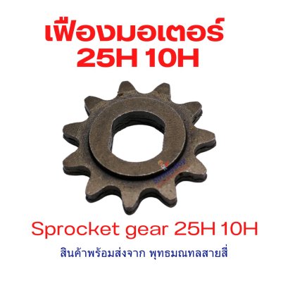 เฟือง Gear โซ่ 25H แบบ 10H Sprocker Gear รหัสสินค้า : G25H10H