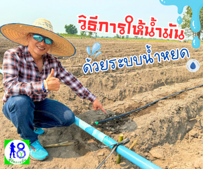 วิธีการให้น้ำมันด้วยระบบน้ำหยด