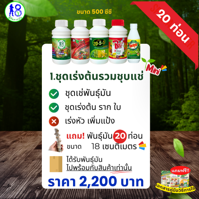 ! โปรโมชั่น ชุดเร่งต้นรวมชุบแช่ MINI แถม! พันธุ์มันฟรี! ระบบผู้จัดการมัน