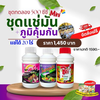 ชุดแช่ท่อนพันธุ์มันสำปะหลัง + ภูมิคุ้มกัน MINI ระบบผู้จัดการมัน