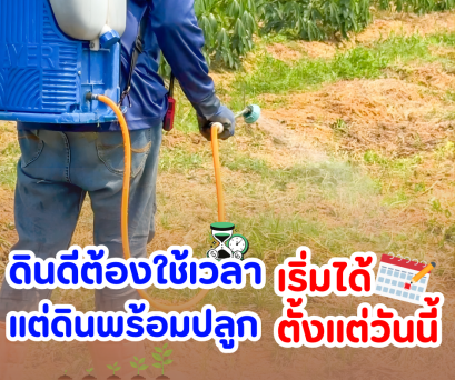 ดินดีต้องใช้เวลา แต่ ดินพร้อมปลูก สามารถเริ่มได้ตั้งแต่วันนี้