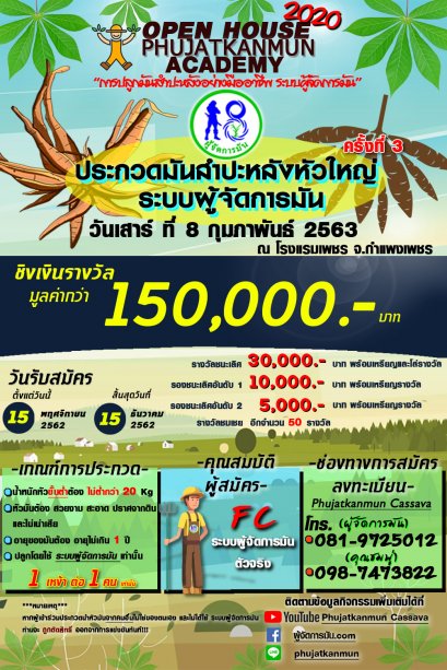 รีบเลยจ้า!! "งานประกวดมันสำปะหลังหัวใหญ่ระบบผู้จัดการมัน" ครั้งที่ 3!!! 