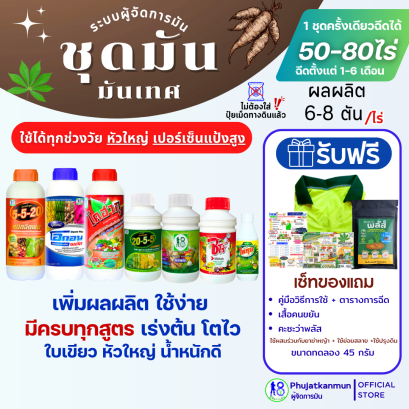 ชุดมันสำปะหลัง ระบบผู้จัดการมัน