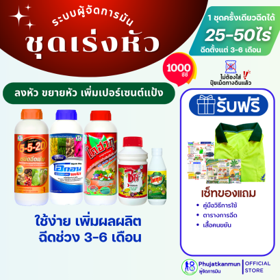 ชุดเร่งหัวมันสำปะหลัง ขยายหัว เร่งแป้ง ระบบผู้จัดการมัน