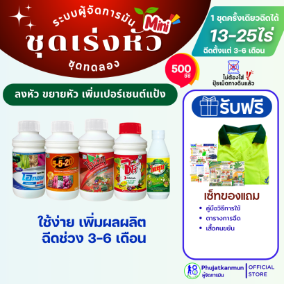 ชุดเร่งหัวมัน ขนาด 500 ซีซี ระบบผู้จัดการมัน