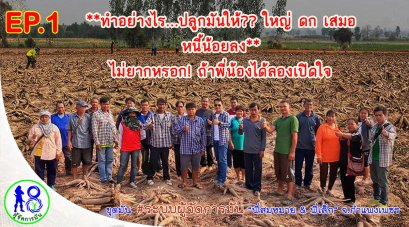 *ทำอย่างไรปลูกมันให้ใหญ่ ดก เสมอ หนี้น้อยลง?!? ไม่ยากหรอก!! ถ้าพี่น้องได้ลองเปิดใจ^^ #ผู้จัดการมัน