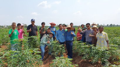 ผู้จัดการมันสัญจร อ.อรัญประเทศ จ.สระแก้ว  พบพี่น้องปลูกมันสำปะหลัง FC ผู้จัดการมัน "ผู้ใหญ่จักร"