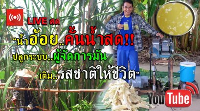 YouTube LIVE #น้ำอ้อยคั้นน้ำสดๆ ระบบผู้จัดการมัน เติมรสชาติให้ชีวิต LIVE#2 วันที่ 15 ส.ค. 2560