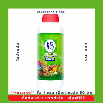 โชว่าพลัส (Showa Plus)