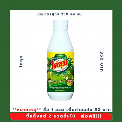 โคซุย เกรดพรีเมี่ยม