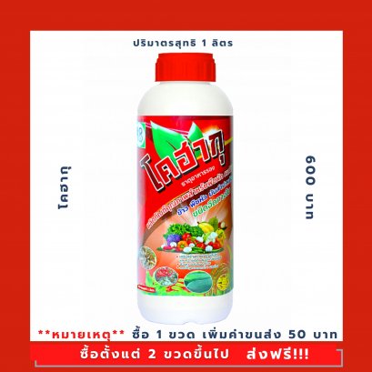 โคฮากุ (KohaKu)