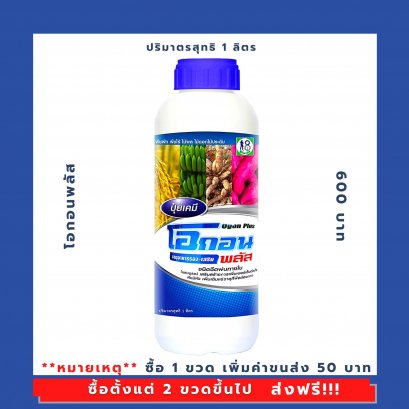 โอกอน พลัส (Ogon Plus)