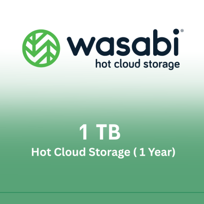 Wasabi Hot Cloud Storage