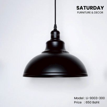 โคมไฟ Li-9003-300