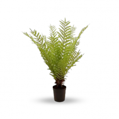 ต้นเฟิร์น - สูง 92 ซม.