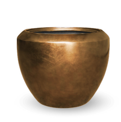 EXCLUSIVE BRONZE 56 x 45