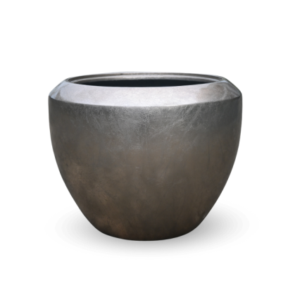 EXCLUSIVE LIGHT GOLD CHAMPAGNE 56 x 45