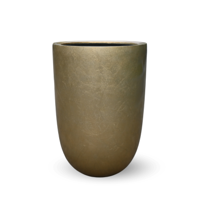 EXCLUSIVE GOLD 46 x 67