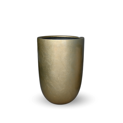 EXCLUSIVE GLOSSY GOLD 36 x 55