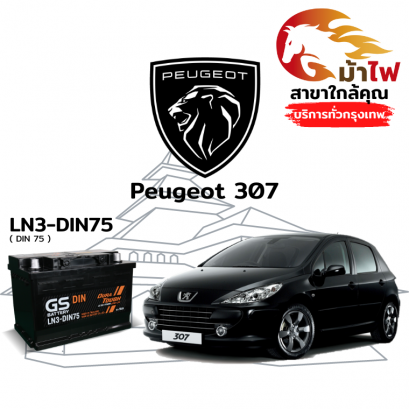 แบตเตอรี่รถยนต์ เปอโยต์ 307 (Peugeot 307)